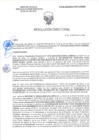 Vista preliminar de documento RD-0234-2025-DSAIA-DIRIS-LE-MINSA
