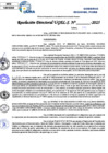 Vista preliminar de documento Resolucion Directoral N° 000015-2025
