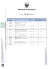 Vista preliminar de documento Anexo único