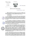 Vista preliminar de documento RD-291-2024-DG-INCN