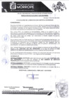 Vista preliminar de documento RA_28-2025