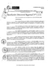 Vista preliminar de documento RDR 10302-2024