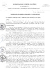 Vista preliminar de documento RGM-007-2025