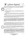 Vista preliminar de documento rgr-345-2024-gore-ica-grinf