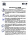 Vista preliminar de documento D.A N° 015-2024
