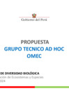 Vista preliminar de documento 11 Propuesta conformación GT ad doc OMEC EM