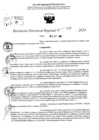 Vista preliminar de documento RDR 10328-2024