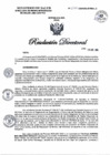 Vista preliminar de documento RD N°1370-2024-DG-DIRIS-LC