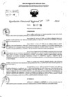 Vista preliminar de documento RDR 10330-2024