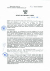 Vista preliminar de documento Resolucion Directoral 312