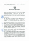 Vista preliminar de documento Resolucion Directoral 311