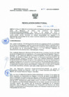 Vista preliminar de documento Resolucion Directoral 310