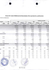 Vista preliminar de documento Anexo 4 (con firmas y sellos)