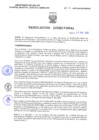 Vista preliminar de documento Resolucion Directoral 266