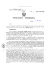 Vista preliminar de documento Resolucion Directoral 265