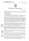 Vista preliminar de documento Resolucion Directoral 267