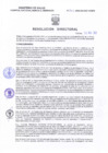 Vista preliminar de documento Resolucion Directoral 262