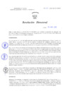Vista preliminar de documento Resolucion Directoral 257
