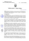 Vista preliminar de documento Resolucion Directoral 251