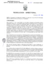Vista preliminar de documento Resolucion Directoral 243