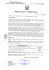 Vista preliminar de documento Resolucion Directoral 242