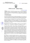 Vista preliminar de documento Resolucion Directoral 241