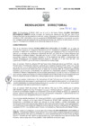 Vista preliminar de documento Resolucion Directoral 239