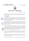 Vista preliminar de documento Resolucion Directoral 179