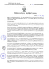 Vista preliminar de documento Resolucion Directoral 178