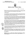 Vista preliminar de documento Resolucion Directoral 174