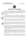 Vista preliminar de documento Resolucion Directoral 173