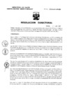 Vista preliminar de documento Resolucion Directoral 171