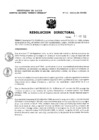 Vista preliminar de documento Resolucion Directoral 170
