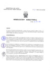 Vista preliminar de documento Resolucion Directoral 169