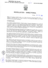 Vista preliminar de documento Resolucion Directoral 167