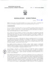 Vista preliminar de documento Resolucion Directoral 165
