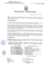 Vista preliminar de documento Resolucion Directoral 163