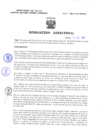 Vista preliminar de documento Resolucion Directoral 160