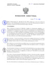 Vista preliminar de documento Resolucion Directoral 156