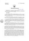 Vista preliminar de documento Resolucion Directoral 161