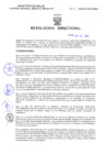 Vista preliminar de documento Resolucion Directoral 154