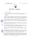 Vista preliminar de documento Resolucion Directoral 151