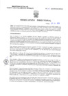 Vista preliminar de documento Resolucion Directoral 148