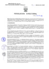 Vista preliminar de documento Resolucion Directoral 141