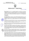 Vista preliminar de documento Resolucion Directoral 140