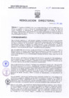 Vista preliminar de documento Resolucion Directoral 138