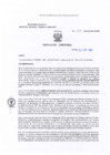 Vista preliminar de documento Resolucion Directoral 137