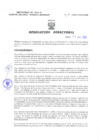 Vista preliminar de documento Resolucion Directoral 110