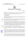 Vista preliminar de documento Resolucion Directoral 109