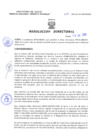 Vista preliminar de documento Resolucion Directoral 103